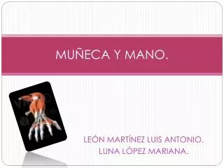 mu eca y mano