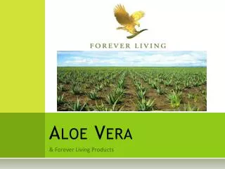 aloe vera