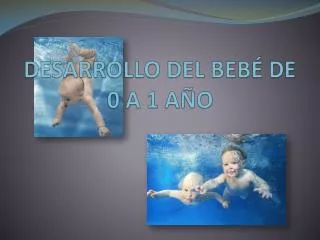 desarrollo del beb de 0 a 1 a o