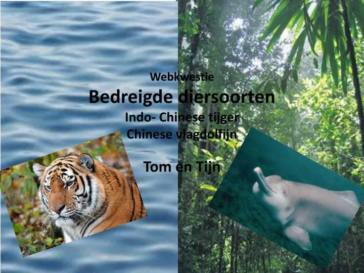 webkwestie bedreigde diersoorten indo chinese tijger chinese vlagdolfijn