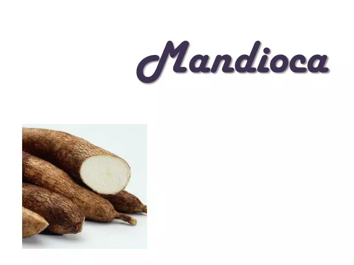 mandioca