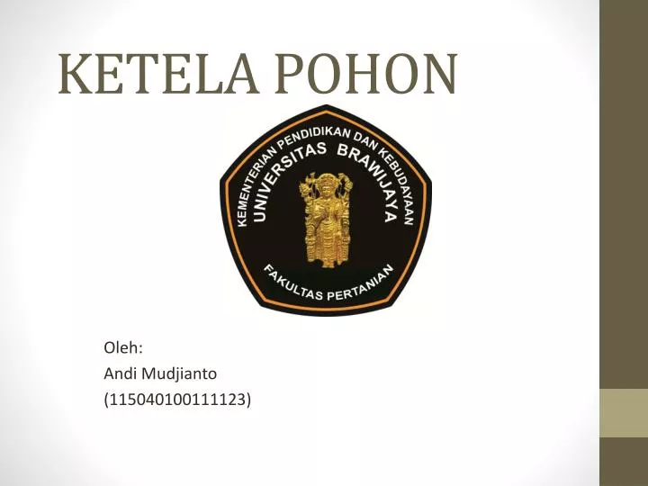 ketela pohon