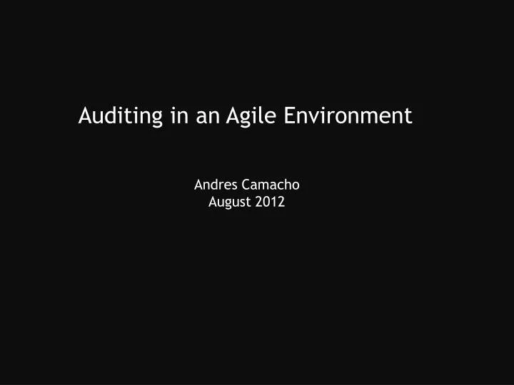 auditing in an agile environment