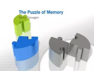 The Puzzle of Memory