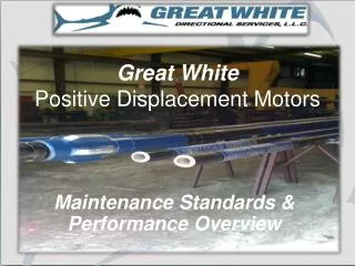 Great White Positive Displacement Motors