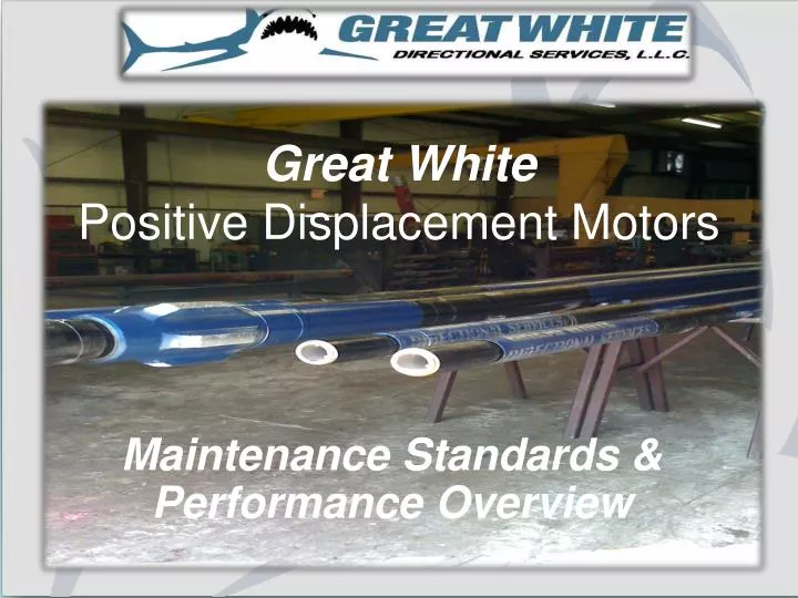 great white positive displacement motors