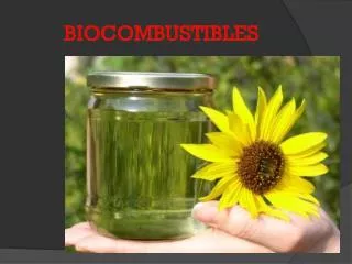biocombustibles