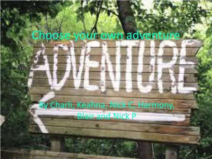 choose your own adventure