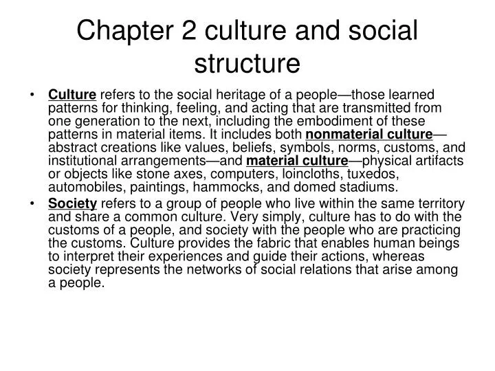 chapter 2 culture and social structure