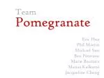 Team Pomegranate - slide 1