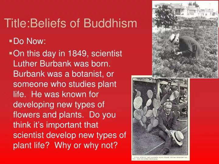 title beliefs of buddhism