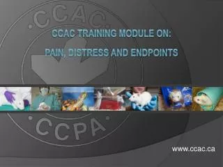 CCAC Training Module on: Pain, distress and endpoints