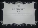 Le Cricket P.6 - slide 1