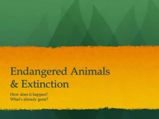 Endangered Animals &amp; Extinction