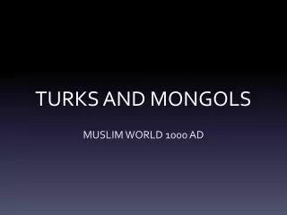 TURKS AND MONGOLS