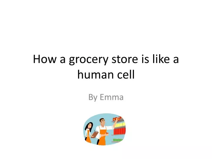 how a grocery store is like a human cell