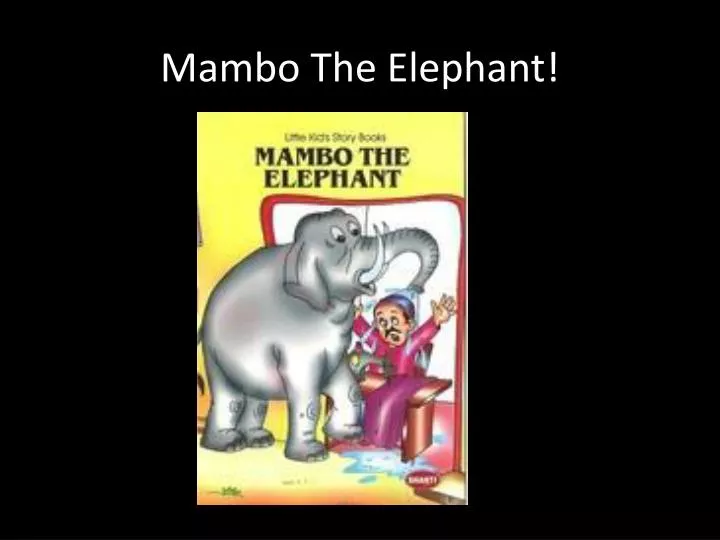 mambo the elephant
