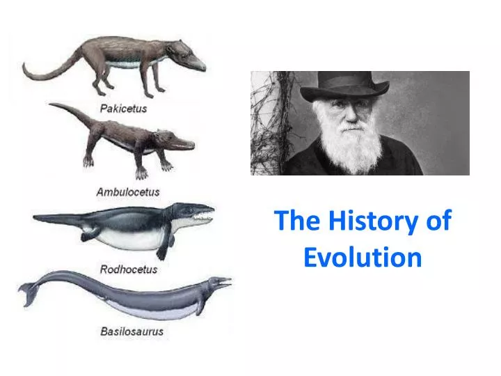 the history of evolution