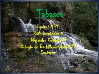 tabasco