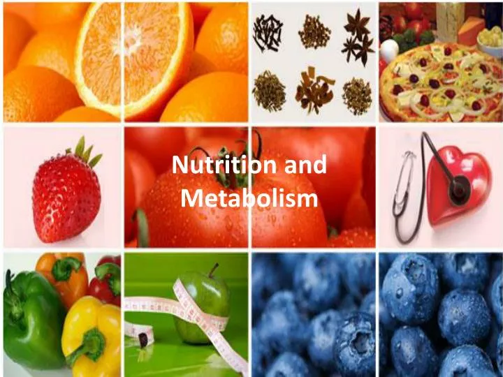 nutrition and metabolism