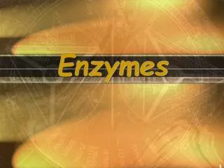 Enzymes