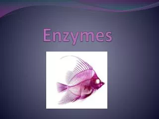 enzymes