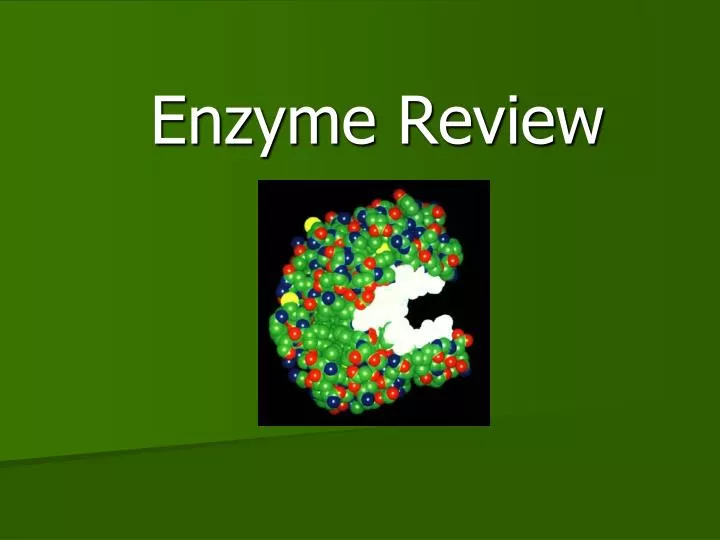 enzyme review