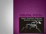 Amazing Bones - The Human Skeleton Unveiled - slide 1