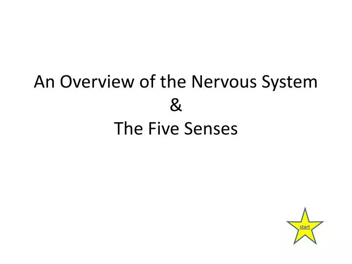 an overview of the nervous system the five senses