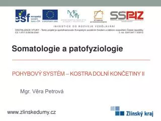pohybov syst m kostra doln kon etiny ii