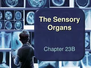 The Sensory Organs
