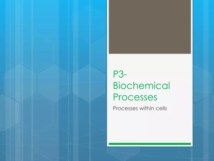 p3 biochemical processes