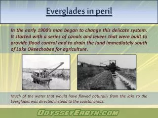 Everglades in peril