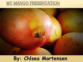 My Mango Presentation