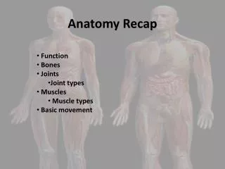 Anatomy Recap