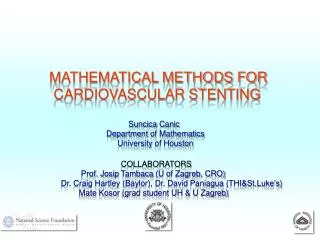 MATHEMATICAL METHODS FOR CARDIOVASCULAR STENTING