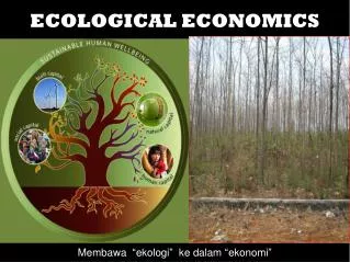 ECOLOGICAL ECONOMICS