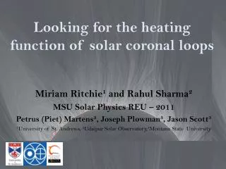 Looking for the heating function of solar coronal loops