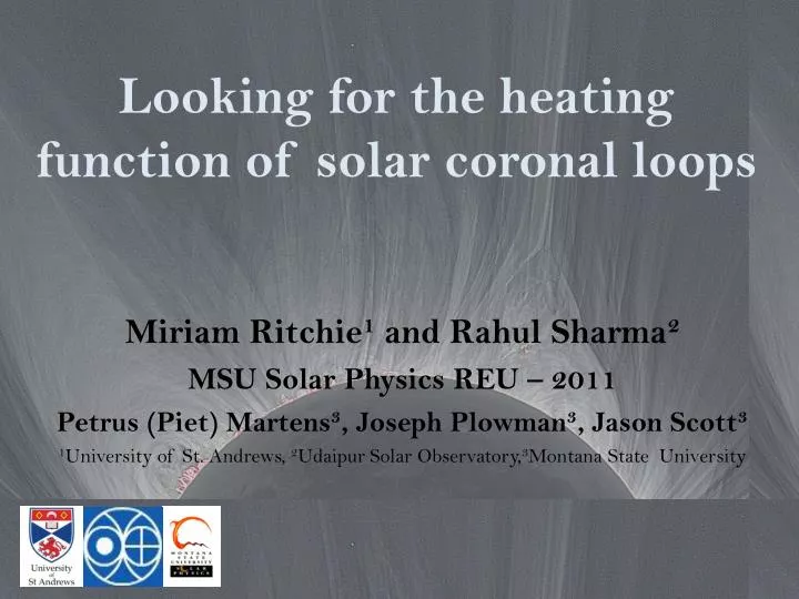 looking for the heating function of solar coronal loops