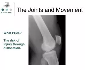 The Joints and Movement