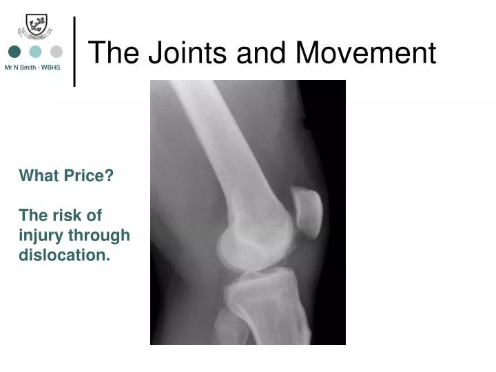 the joints and movement