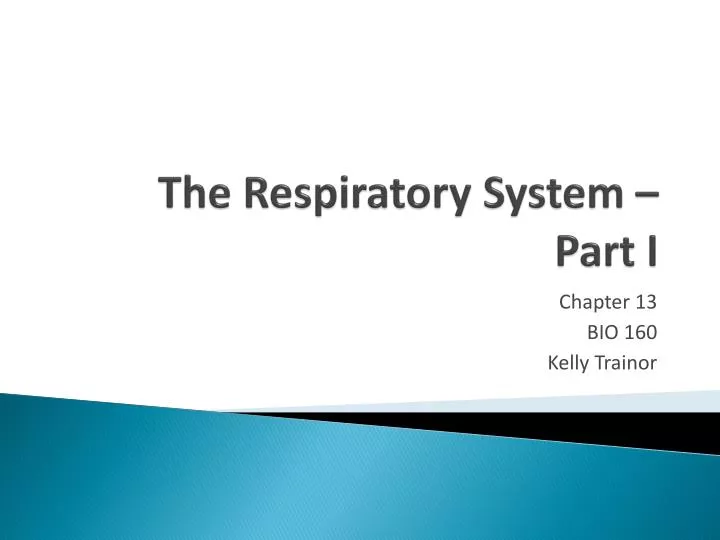 the respiratory system part i