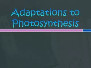 Adaptations to Photosynthesis