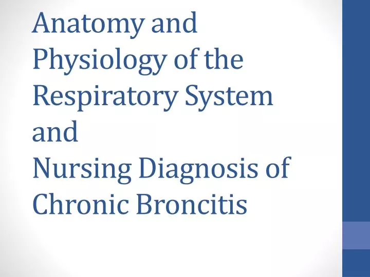 anatomy and physiology of the respiratory system and nursing diagnosis of chronic broncitis