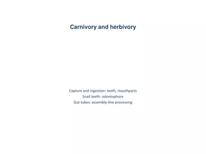 carnivory and herbivory