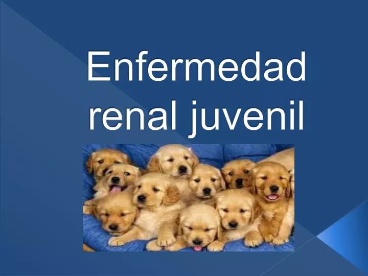 enfermedad renal juvenil