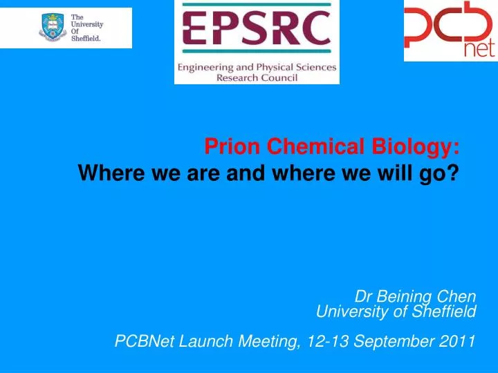 prion chemical biology where we are and where we will go