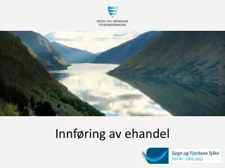 Innføring av ehandel