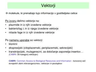 vektorji