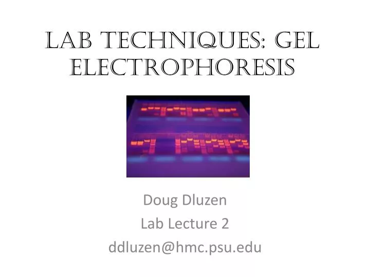 lab techniques gel electrophoresis